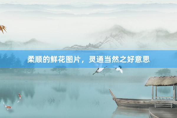 柔顺的鲜花图片，灵通当然之好意思