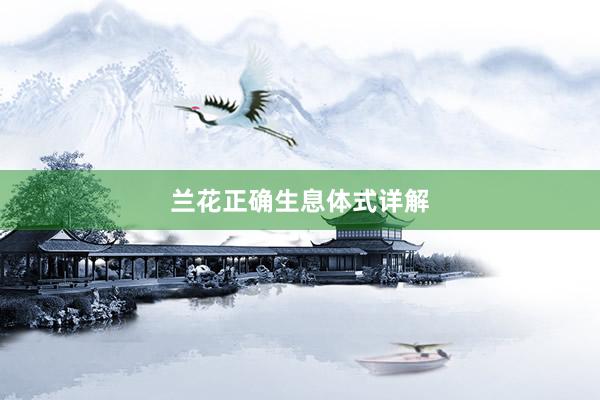 兰花正确生息体式详解