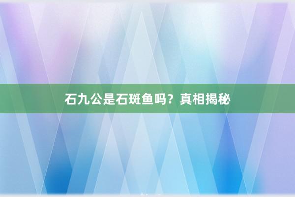 石九公是石斑鱼吗？真相揭秘