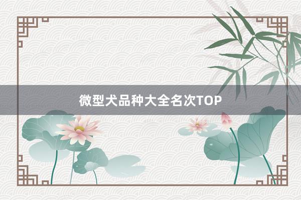 微型犬品种大全名次TOP
