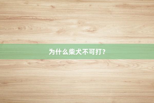 为什么柴犬不可打？